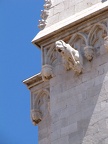 IMG 5600