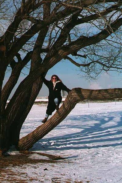 img15.jpg